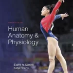 Test Bank for Human Anatomy & Physiology 11th Edition By Elaine N. Marieb