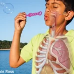 Solutions Manual for Anatomy and Physiology An Integrative Approach 4th Edition By Michael McKinley