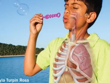 Anatomy Physiology An Integrative Approach 4th Edition By Michael McKinley  scaled